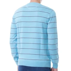 Pull Us Polo Assn homme bleu rayé
